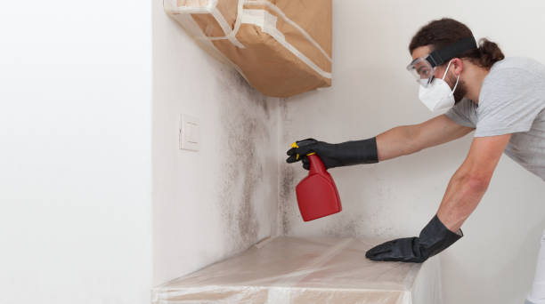 Professional Basement Mold Remediation technician working in McAlisterville, PA