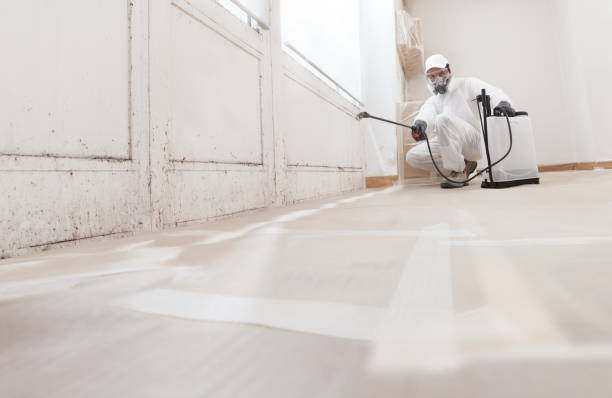 24/7 Emergency Basement Mold Remediation experts in McAlisterville, PA